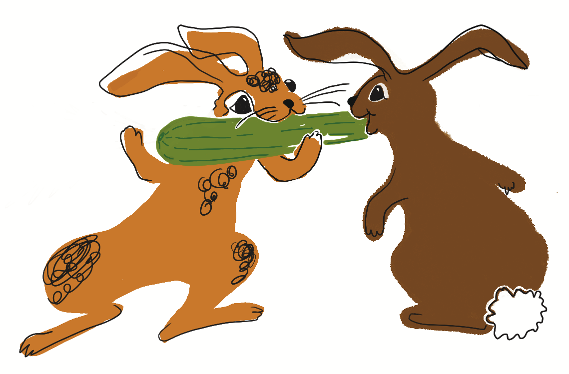 Illustration of two rabbits sharing a zucchini