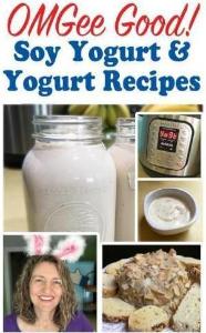 OMG Good! Soy Yogurt and Yogurt Recipes (PDF)