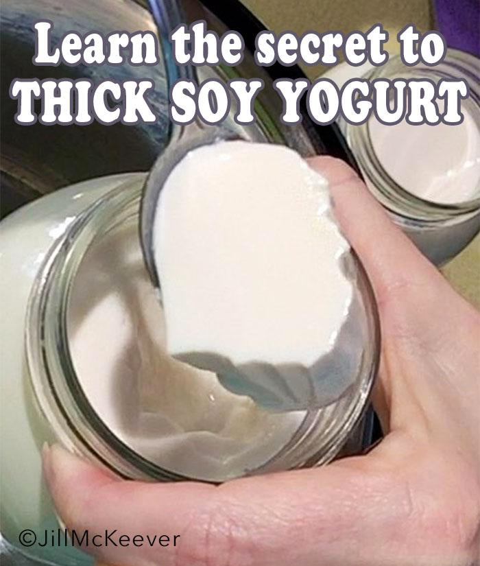 Family Favorite Vegan Cheese Recipes, PDF