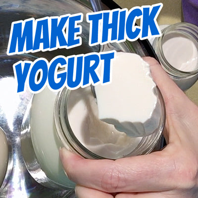 OMG Good! Soy Yogurt and Yogurt Recipes (PDF)