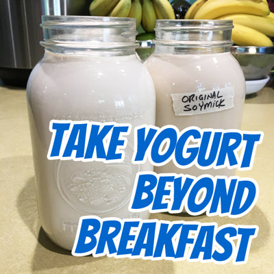 OMGee Good! Soy Yogurt and Yogurt Recipes (PDF)